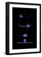 Conceptual Image of a Neuron-null-Framed Art Print