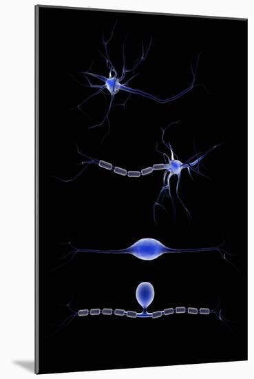 Conceptual Image of a Neuron-null-Mounted Art Print