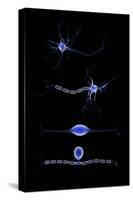 Conceptual Image of a Neuron-null-Stretched Canvas