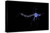 Conceptual Image of a Neuron-null-Stretched Canvas