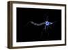 Conceptual Image of a Neuron-null-Framed Art Print