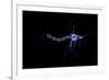 Conceptual Image of a Neuron-null-Framed Art Print