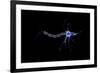 Conceptual Image of a Neuron-null-Framed Art Print