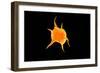 Conceptual Image of a Platelet-null-Framed Art Print