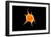 Conceptual Image of a Platelet-null-Framed Art Print
