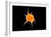 Conceptual Image of a Platelet-null-Framed Art Print