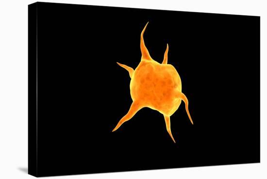 Conceptual Image of a Platelet-null-Stretched Canvas