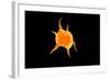 Conceptual Image of a Platelet-null-Framed Art Print