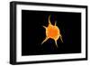 Conceptual Image of a Platelet-null-Framed Premium Giclee Print