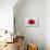 Conceptual Image of a Red Blood Cell-null-Art Print displayed on a wall