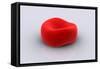 Conceptual Image of a Red Blood Cell-null-Framed Stretched Canvas