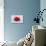 Conceptual Image of a Red Blood Cell-null-Stretched Canvas displayed on a wall