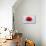 Conceptual Image of a Red Blood Cell-null-Stretched Canvas displayed on a wall