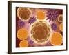 Conceptual Image of a Ubiquitous Virus-null-Framed Art Print