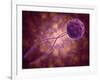 Conceptual Image of a Viral Spore-null-Framed Art Print