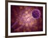 Conceptual Image of a Viral Spore-null-Framed Art Print