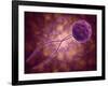 Conceptual Image of a Viral Spore-null-Framed Art Print