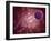 Conceptual Image of a Viral Spore-null-Framed Art Print