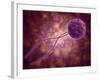 Conceptual Image of a Viral Spore-null-Framed Art Print