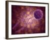 Conceptual Image of a Viral Spore-null-Framed Art Print