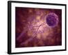 Conceptual Image of a Viral Spore-null-Framed Art Print