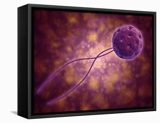 Conceptual Image of a Viral Spore-null-Framed Stretched Canvas