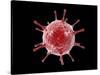 Conceptual image of a virus.-Stocktrek Images-Stretched Canvas