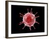 Conceptual image of a virus.-Stocktrek Images-Framed Art Print