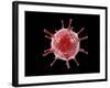 Conceptual image of a virus.-Stocktrek Images-Framed Art Print