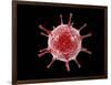 Conceptual image of a virus.-Stocktrek Images-Framed Art Print