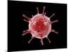 Conceptual image of a virus.-Stocktrek Images-Mounted Art Print