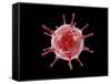 Conceptual image of a virus.-Stocktrek Images-Framed Stretched Canvas