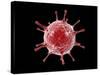 Conceptual image of a virus.-Stocktrek Images-Stretched Canvas