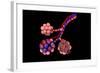 Conceptual Image of Alveoli-null-Framed Art Print