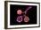 Conceptual Image of Alveoli-null-Framed Art Print