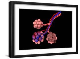 Conceptual Image of Alveoli-null-Framed Art Print