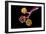 Conceptual Image of Alveoli-null-Framed Art Print