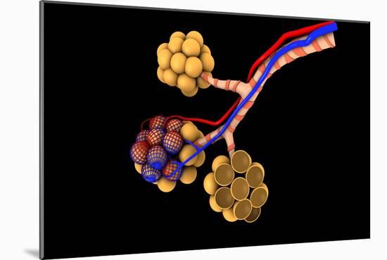 Conceptual Image of Alveoli-null-Mounted Art Print