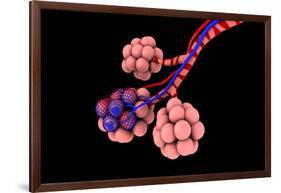 Conceptual Image of Alveoli-null-Framed Art Print