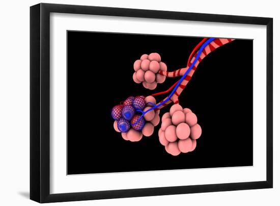 Conceptual Image of Alveoli-null-Framed Art Print