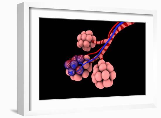 Conceptual Image of Alveoli-null-Framed Art Print