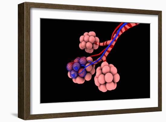 Conceptual Image of Alveoli-null-Framed Premium Giclee Print