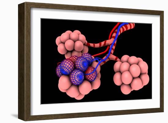 Conceptual Image of Alveoli-null-Framed Premium Giclee Print