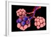 Conceptual Image of Alveoli-null-Framed Art Print