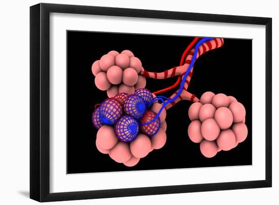 Conceptual Image of Alveoli-null-Framed Art Print