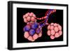 Conceptual Image of Alveoli-null-Framed Art Print