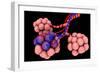 Conceptual Image of Alveoli-null-Framed Art Print