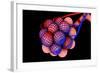 Conceptual Image of Alveoli-null-Framed Art Print