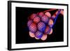 Conceptual Image of Alveoli-null-Framed Art Print