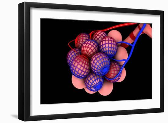 Conceptual Image of Alveoli-null-Framed Art Print